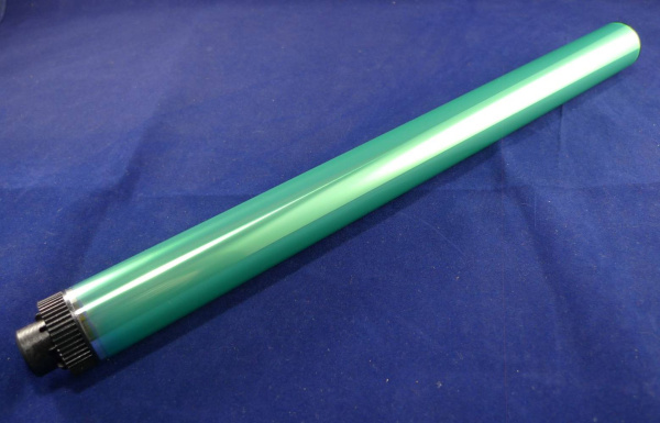 10000031829_1 10000031829_1