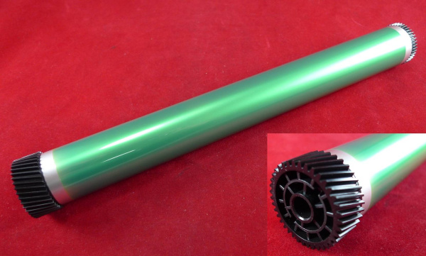 10000031986_1 10000031986_1