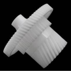 10000013908_1 10000013908_1