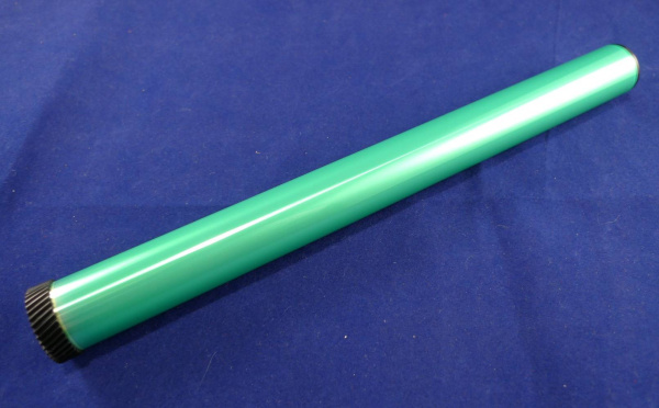 10000031821_1 10000031821_1