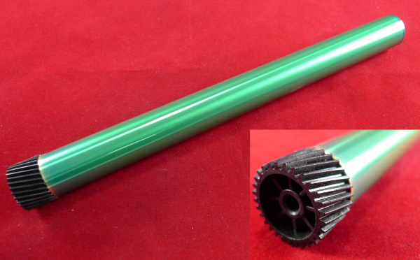 IMG10000025288_1 IMG10000025288_1