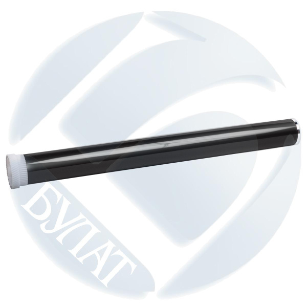 ACPNMB1900010 ACPNMB1900010