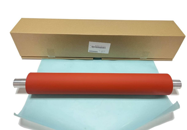 10000076956_1 10000076956_1