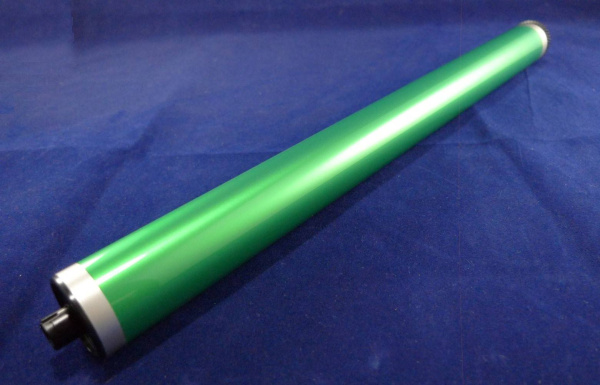 10000031905_1 10000031905_1