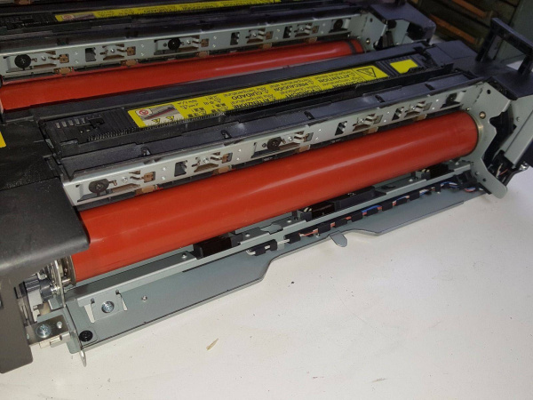 10000013929_1 10000013929_1