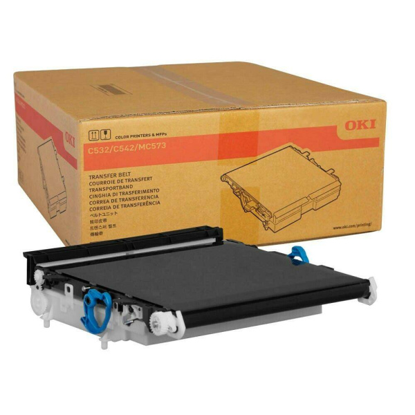 10000032619_1 10000032619_1