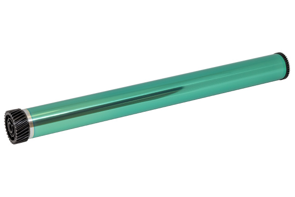 2031008282_1 2031008282_1