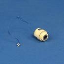 10000013420_1 10000013420_1