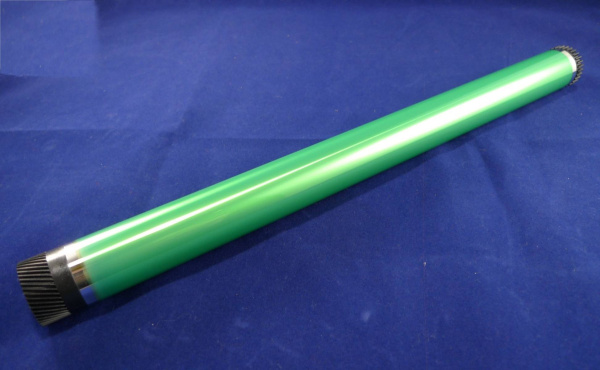 10000031951_1 10000031951_1