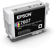  EPSON   SC-P600 C13T76074010