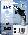  EPSON -  SC-P600 C13T76054010