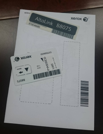 10000038811_1 10000038811_1