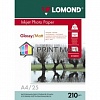 Бумага Lomond 0102047 Двусторонняя Глянцевая/Матовая фотобумага для струйной печати, A4, 210 г/м2, 25 листов.