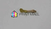   XEROX WCP4110 (019E57830/019E57831)