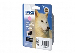  EPSON  -   R2880 C13T09664010