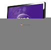 CS-FA415050  Cactus     CS-FA415050, 4, 150 /2, 50 