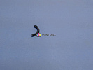 JC61-03754A Samsung   ,  SCX3200, 3205