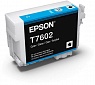 EPSON   SC-P600 C13T76024010