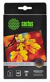 Фотобумага Cactus CS-SGA628020 Professional, полуглянцевая, 10x15, 280 г/м2, 20 листов