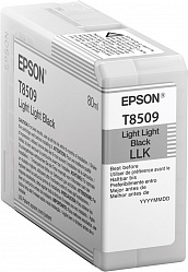 EPSON -  SC-P800 C13T850900